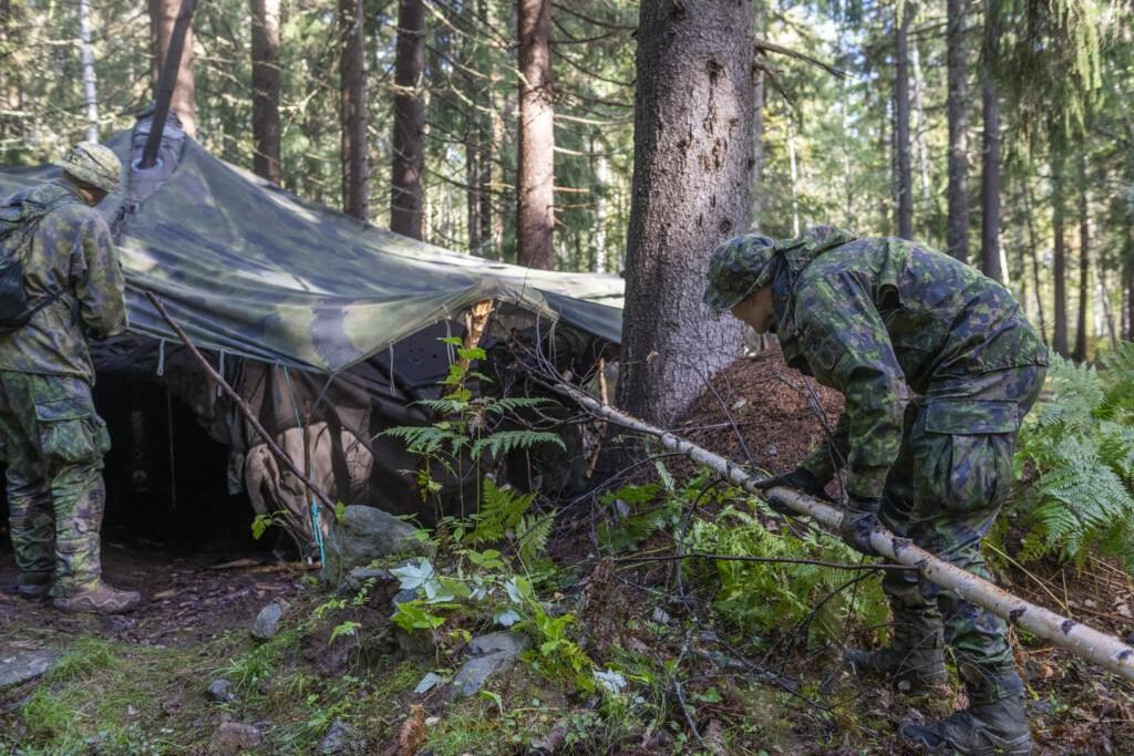 Sotilas asettaa ohutta koivua naamioverkon ja metsäisen maan väliin.
